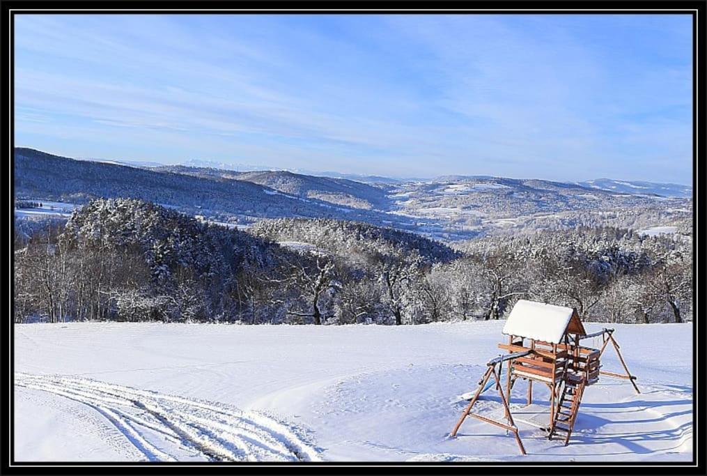 Swiety Spokoj Palesnica Exteriér fotografie