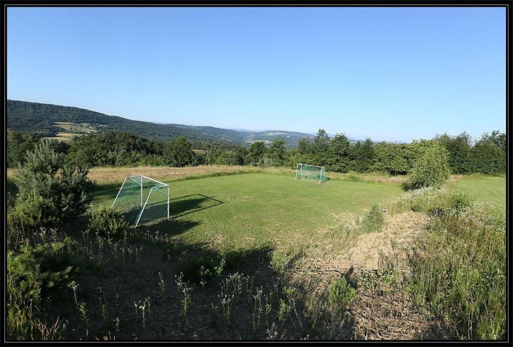 Swiety Spokoj Palesnica Exteriér fotografie